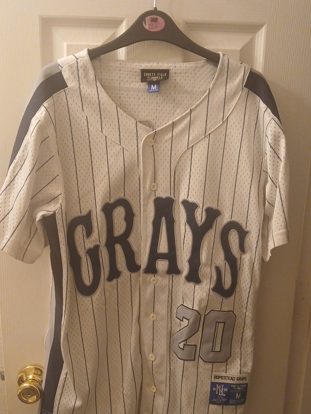 Ebbets Field Flannels Homestead Grays Cream and Black Pinstripe Jersey